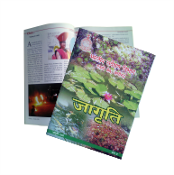 Megazine Printing